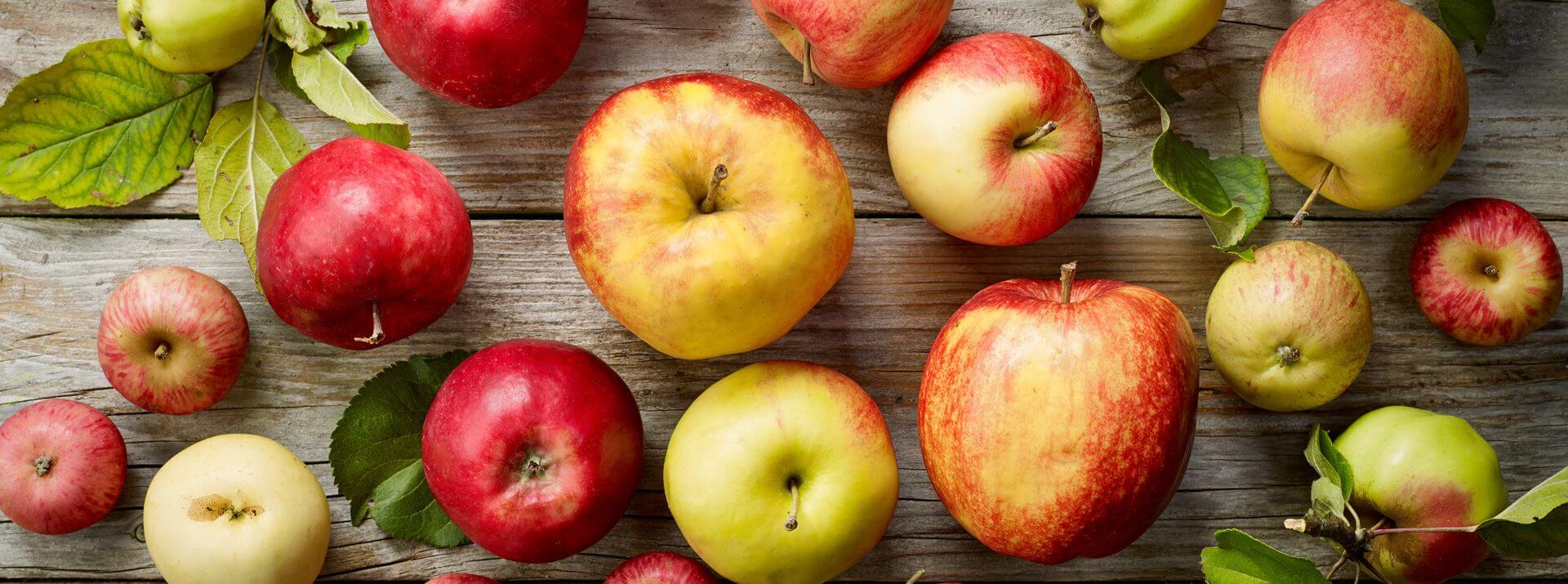 Apple Varieties Apple Varieties