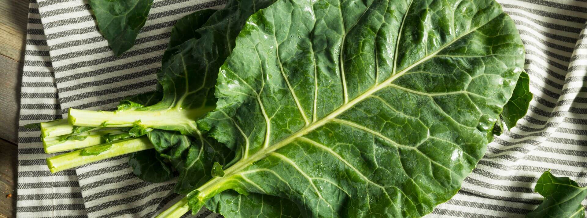 Winter Greens