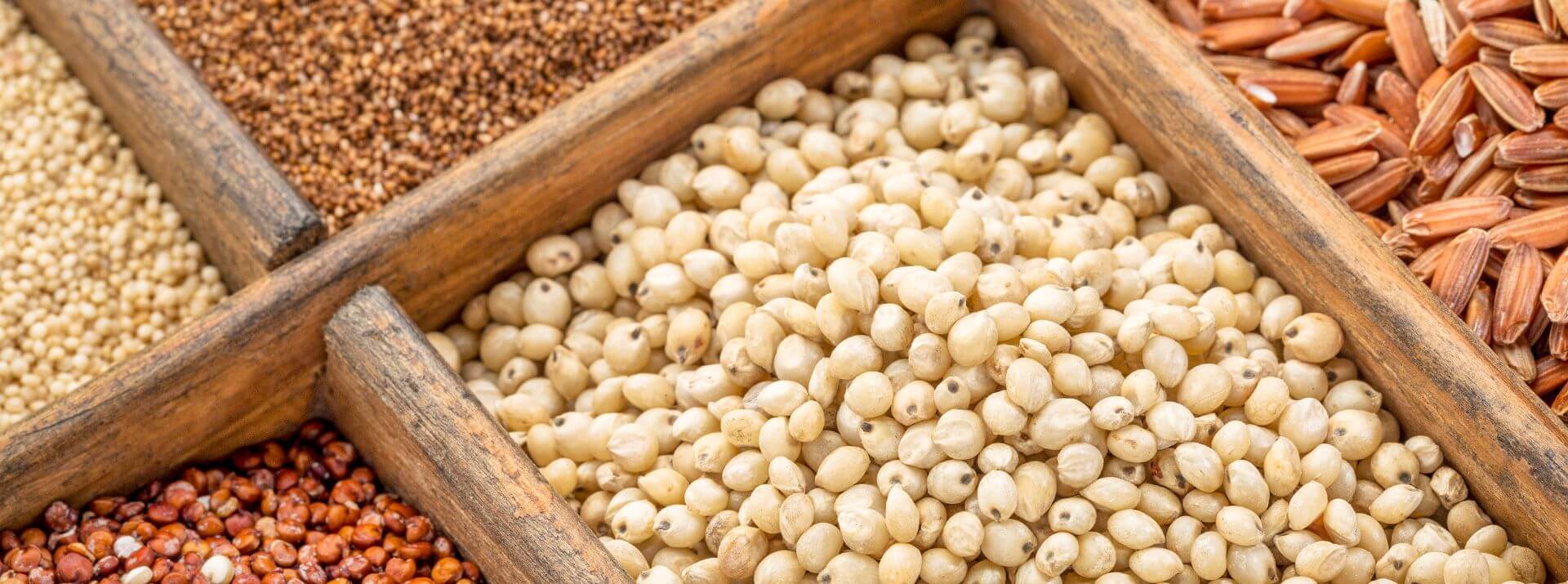 Alt Grains 1920 088f768b77 Alt Grains 1920 088f768b77