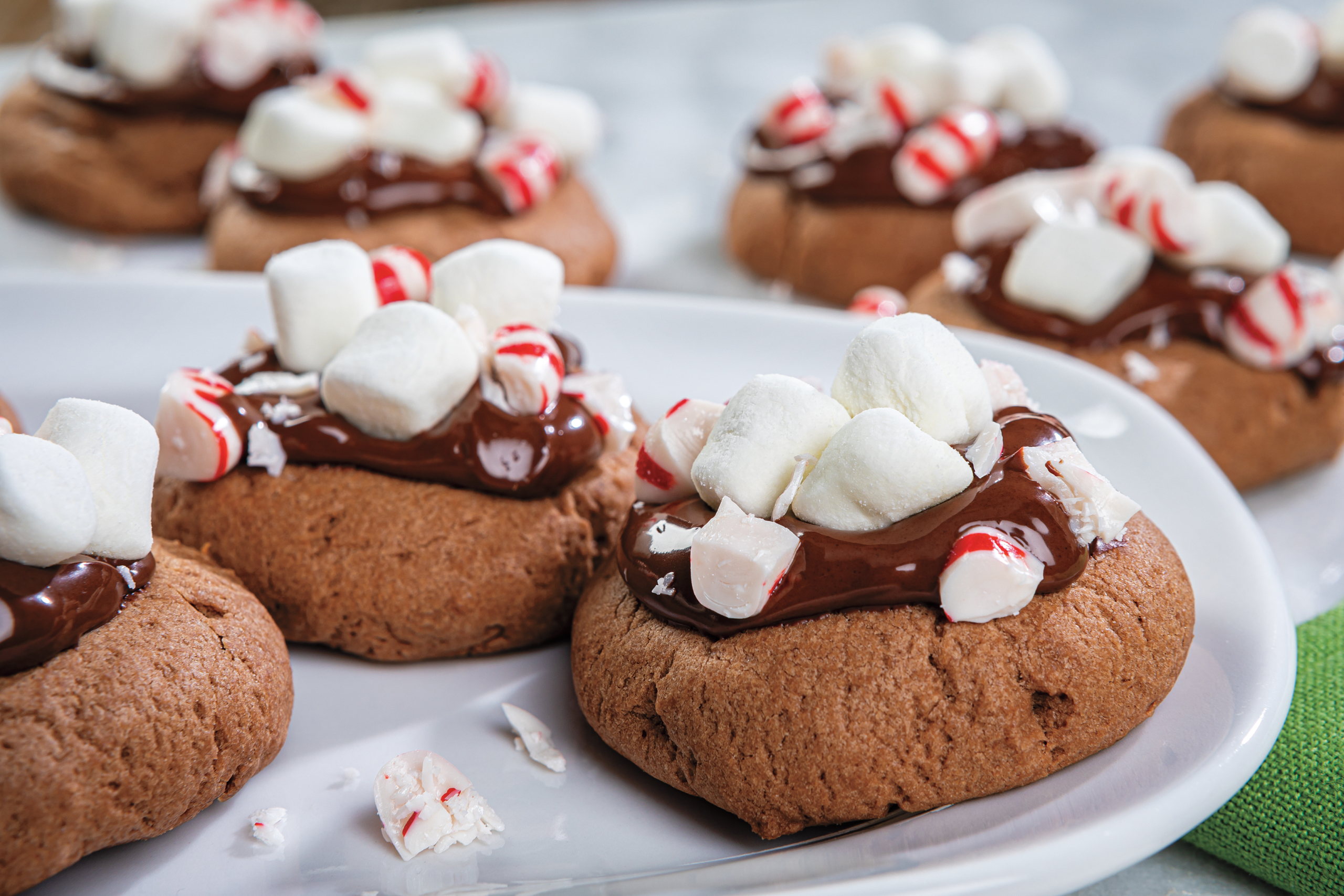 Hot Chocolate Cookies 27
