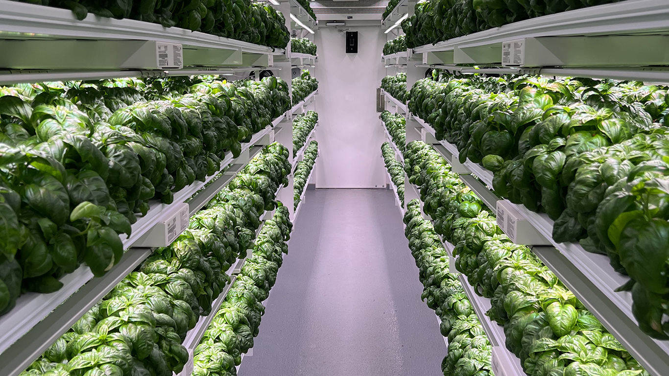 Inside Of Town To Table Basil Farm Copy Inside Of Town To Table Basil Farm Copy